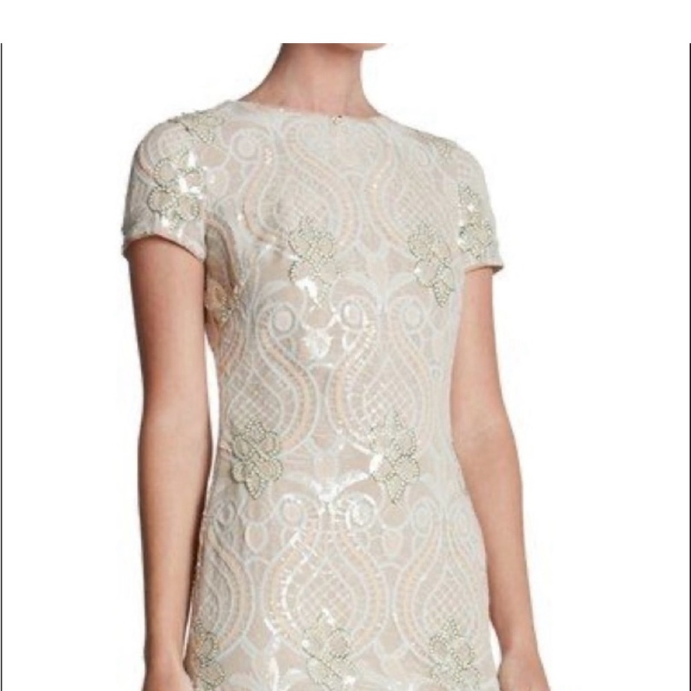 Dress the Population Ellen Sequin Dress
